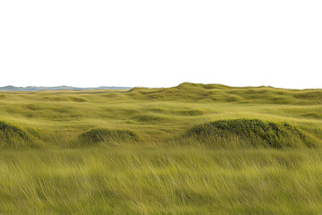Fototapeta premium PNG Cut out isolated. Lush green grasslands stretching into the horizon. The soft, rolling hills of vibrant grasses create a peaceful and natural scene under a clear, overcast sky.