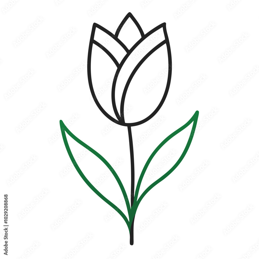 Wall mural Color Tulip Flower Line Art Silhouette.
