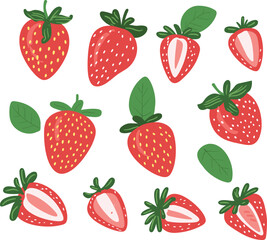 Fresh Strawberry Vector Fruit Hand Drawn. Red Berry Fruit Illustration Isolated on White Background