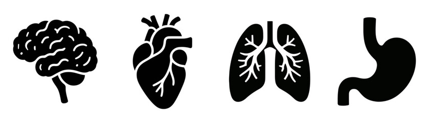 human anatomy, monochrome icons set. internal organs, body parts, simple symbols collection