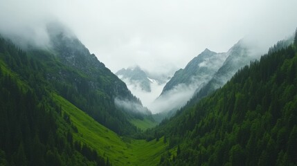 Obraz premium Misty Mountain Valley Surrounded by Lush Forests