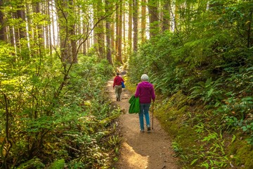 Obraz premium Hikers on a trail at Oswald West State Park. It is part of the Oregon state park system and is located about 10 miles south of the city of Cannon Beach, on the Pacific Ocean