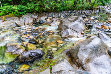 Rocky Denny Creek 2