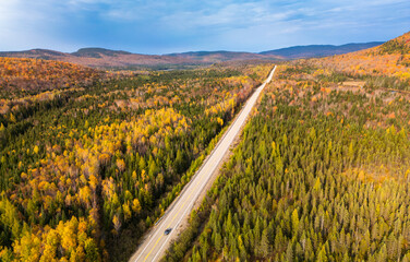 Canadian Autumn, aerial view of colourful forest in Quebec