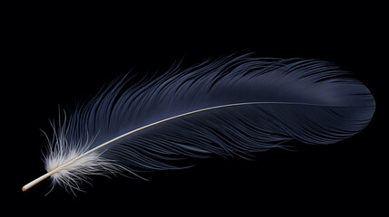 Naklejka premium Navy blue feather on black background, elegant and detailed