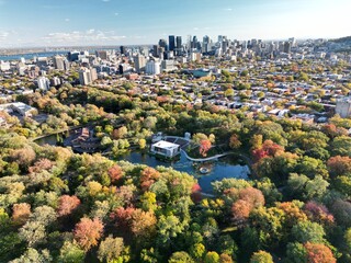 Aerial view of Montreal in autumn