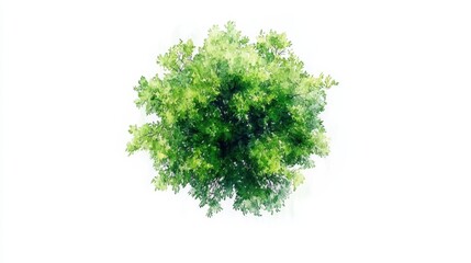 Fototapeta premium A vibrant green tree with lush leaves stands out against a clean white backdrop, symbolizing nature's beauty and growth. perfect for nature-themed designs.