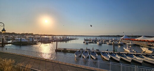 sunset over the harbor