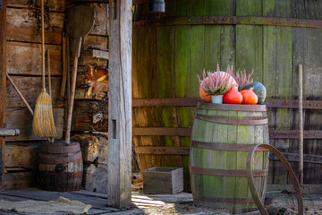 pumpkin farm, pumpkin festival, pumpkin day, fresh vegetables presentation. thanksgiving day. pumpkins standing on a wooden floor together with heather flowers near the house as a natural autumn decor © Adam