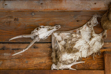 skull in front of the house and oil lamp. farm in the wild west. halloween