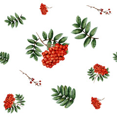 Rowan. Seamless pattern with juicy red watercolor rowan berries and green sprigs. Hand drawn, repeating pattern on white background for textiles, wallpaper, tableware or any design.