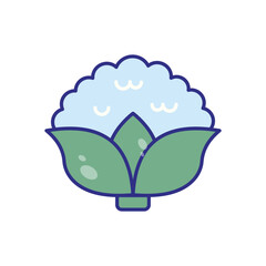 Cauliflower vector icon stock illustration