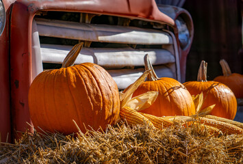pumpkin farm, pumpkin festival, pumpkin day, fresh vegetables presentation. thanksgiving day. natural autumn decorations. pumpkins standing on bales of hay against the background of an old vintage cla © Adam