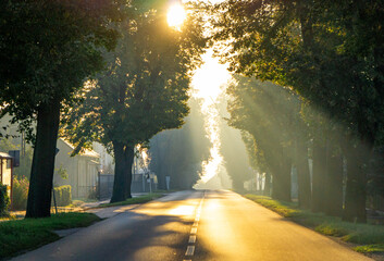 autumn morning on a street in the countryside. dawn, sunlight shining through the trees. warm sun rays. autumn landscape.