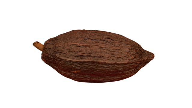 Ripe Cocoa Pod, Isolated on Transparent Background