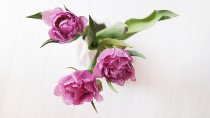 Pink tulips and cosmetics on white wooden background. Lipsticks