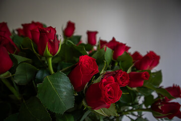 Red roses