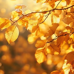 Fototapeta premium A close-up of golden autumn leaves against a warm, blurred background.