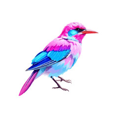 A colorful, abstract bird with vibrant pink, blue, and purple fur sitting against a white background