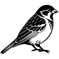Sparrow silhouette vector illustration 
