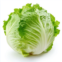 Iceberg lettuce isolated on white background