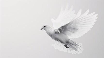 Obraz premium White Dove in Flight: A Symbol of Peace and Serenity