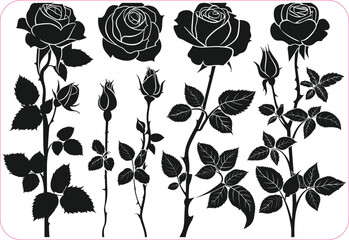 set of roses, Vector set of decorative rose with leaves. Flower silhoutte isolated on a white background.