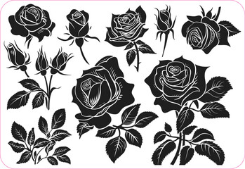 Rose flower Silhouettes set, Rose flowers Collection, Silhouettes of roses, Flower silhoutte. Vector illustration © MDARIF