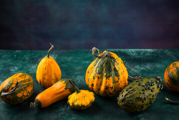 Various decorative pumpkin on green background