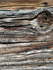 Closeup of 300 years old and weathered wood
