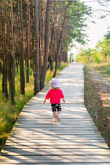 A cute Caucasian child toddler walks along a wooden path on the Curonian Spit in Kaliningrad. An active family vacation.