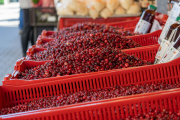 City market. Cranberries. Red berries, in red boxes. Oxycoccus