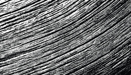 Obraz premium Black and white rough grunge background