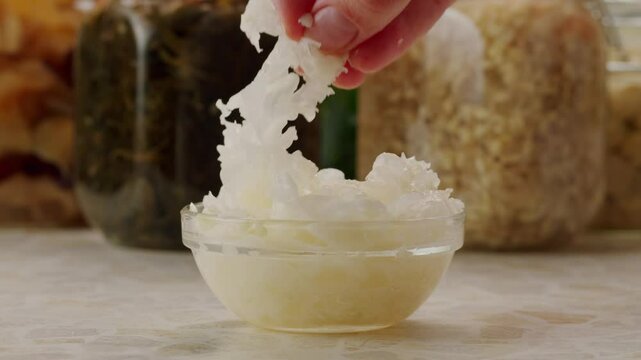 Tremella fermented salted Jamur salju or snow fungus, white colored fungi for food and medicine, popular in China and also Chinese cuisine. 