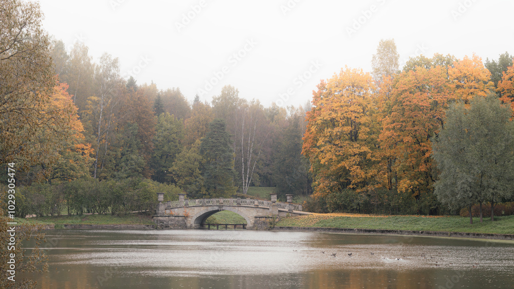 Wall mural a stone pedestrian bridge in a park surrounded by trees with yellow autumn leaves, capturing a seren