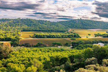 Nature and fields on the island of Porquerolles, in the Var, in Provence, France