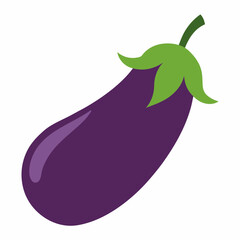  Eggplant silhouette Vector with a white background