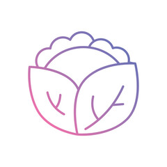 Lettuce vector icon stock illustration
