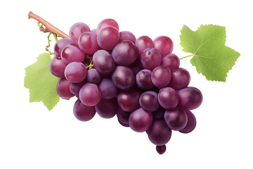 Fototapeta premium Red grape on transparent background. PNG cutout. Wine related themes. Wine professions. Oenologist. Wine shop. Buying and selling wine. Images for graphic designers. Isolated wine. Image for website