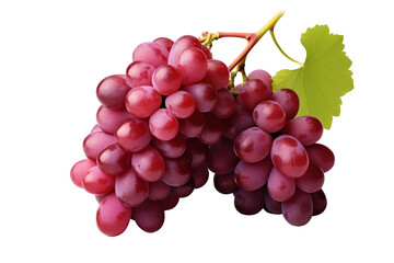 Fototapeta premium Red grape on transparent background. PNG cutout. Wine related themes. Wine professions. Oenologist. Wine shop. Buying and selling wine. Images for graphic designers. Isolated wine. Image for website