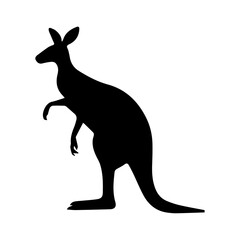 Kangaroo silhouette on white background