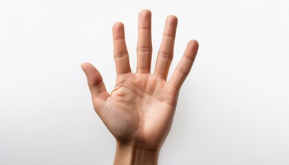 A hand with five fingers showing the palm of the hand on a white background; an open palm to indicate high five or number five; a hand gesture of the number five or high five for congratulations