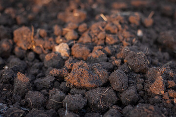 Soil for growing seedlings, vegetables in the nursery. Soil mixture with manure, husks, coconut husks, fermented before planting. Close-up photo of soil. Soil preparation