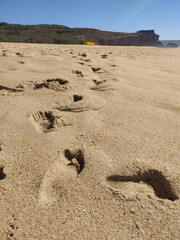 Fine golden sand covering a beach during a sunny day with clear skies, creating a serene and tranquil atmosphere for relaxation