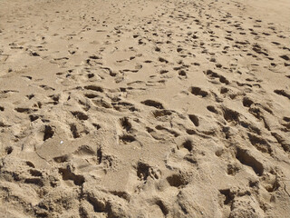 Fine golden sand covering a beach during a sunny day with clear skies, creating a serene and tranquil atmosphere for relaxation