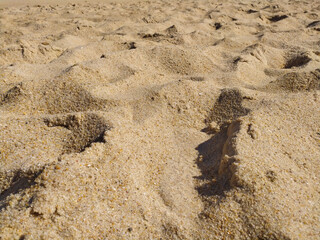 Fine golden sand covering a beach during a sunny day with clear skies, creating a serene and tranquil atmosphere for relaxation