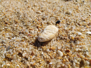 Fine golden sand covering a beach during a sunny day with clear skies, creating a serene and tranquil atmosphere for relaxation