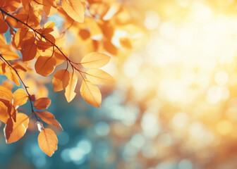 Obraz premium Orange fall leaves in park, autumn natural background.