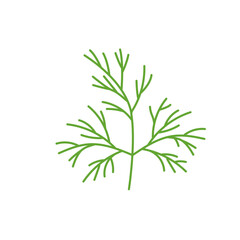 Fototapeta premium Dill illustration. Herb, Culinary spice, ingredient for meal. Vector
