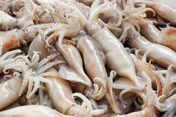 Fresh Squid on a market stall.,  Fresh squid frozen in ice for sale Fresh Market, Seafood, octopus, a stall sold at a fresh market There is ice to maintain the temperature.